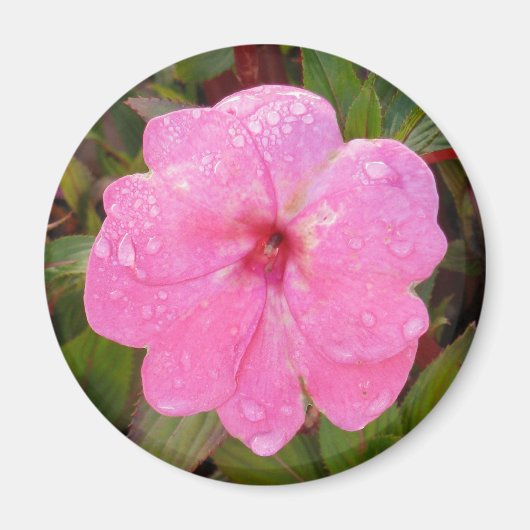 Nassmagnet der Blume Magnet (Vorne)