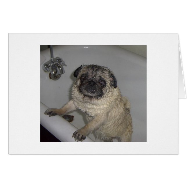 Nasspooter, leere Karte (Vorderseite (Horizontal))