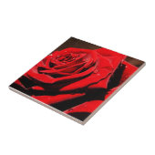 NassSingle Rote Rose Blume Tile Fliese (Seite)