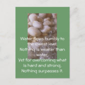 Nasssteine Postkarte (Vorderseite)