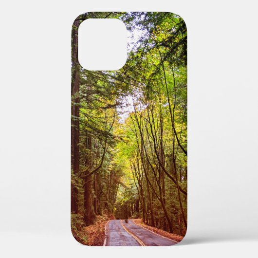 Nassstraße durch grüne Bäume in Humboldt Herbst Case-Mate iPhone Hülle (Rückseite)