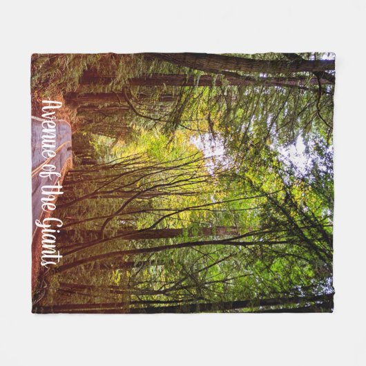 Nassstraße durch grüne Bäume in Humboldt Herbst Fleecedecke (Vorderseite (Horizontal))