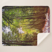 Nassstraße durch grüne Bäume in Humboldt Herbst Sherpadecke (Vorderseite (Horizontal))