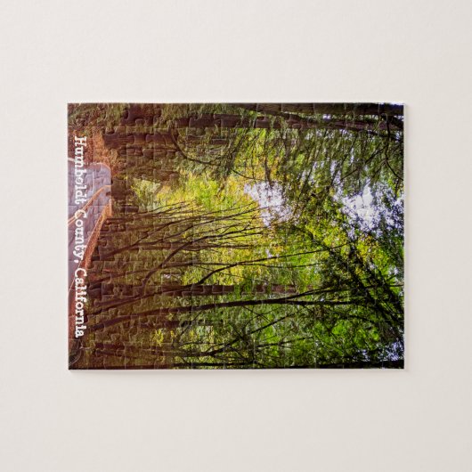 Nassweg durch grüne Bäume im Humboldt-Herbst Puzzle (Horizontal)