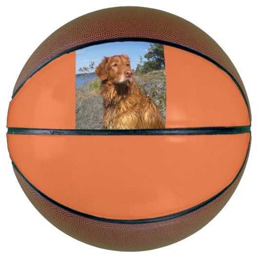 Nasszelle Basketball (Vorderseite)