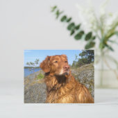 Nasszelle Postkarte (Stehend Vorderseite)