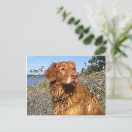 Nasszelle Postkarte (Stehend Vorderseite)