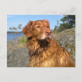 Nasszelle Postkarte (Vorderseite)