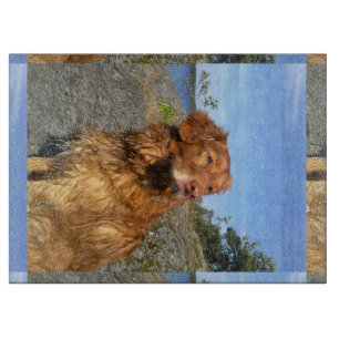 Nasszelle Schneidebrett