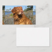 Nasszelle Visitenkarte (Vorne/Hinten)