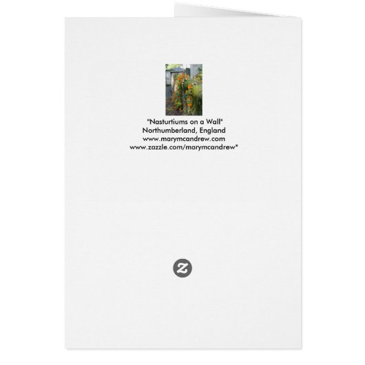Nasturtien an einer Mauer, England (Hinten)