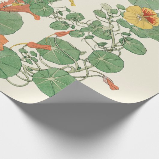 Nasturtien | Antique Lithograph 1896 Wrapping Pap Geschenkpapier (Ecke)