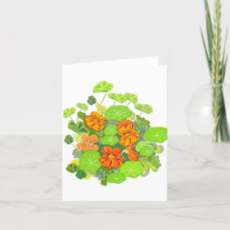 Nasturtien Blank Notecard Dankeskarte