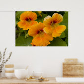 Nasturtien Poster (Küche)