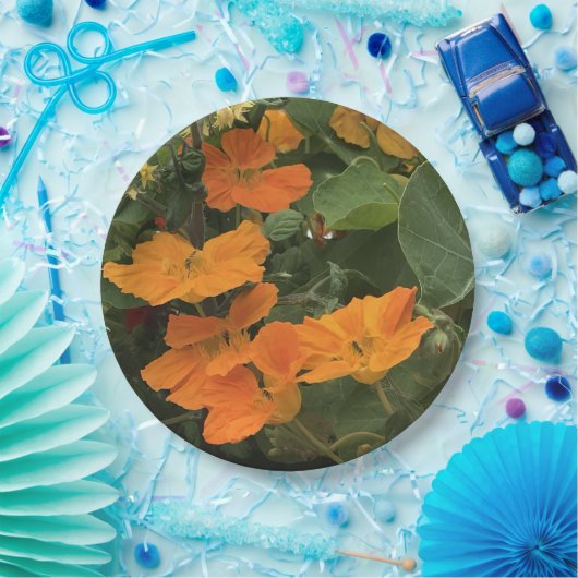 Nasturtium-Alternative zum 40. Hochzeitstag Pappteller (Party)