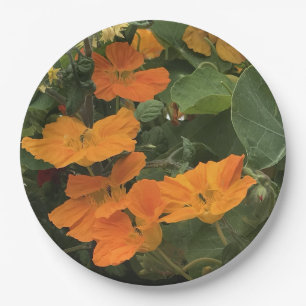 Nasturtium-Alternative zum 40. Hochzeitstag Pappteller