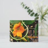 Nasturtium-Blume Fotografisch Botanisch Postkarte (Stehend Vorderseite)