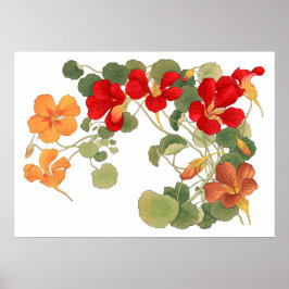 Nasturtium Blume , Japanisch ukio e art Poster