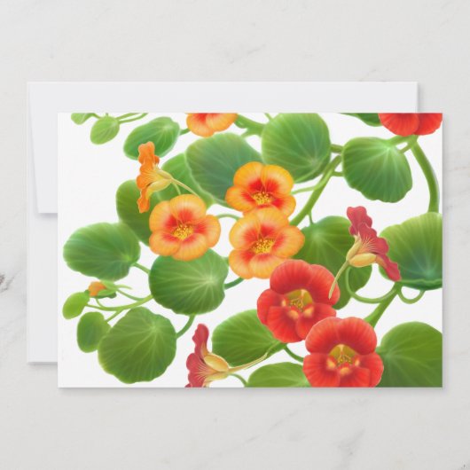 Nasturtium Blumengarten Save the Date (Rückseite)