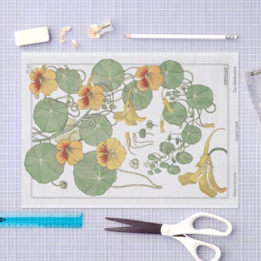 Nasturtium, Botany Serie von Eugene Grassat Seidenpapier (Handwerk)