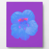 Nasturtium Bright Blue Plaque Fotoplatte (Vorderseite)