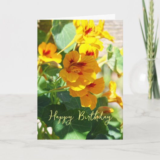 Nasturtium Geburtstag Karte (Vorderseite)