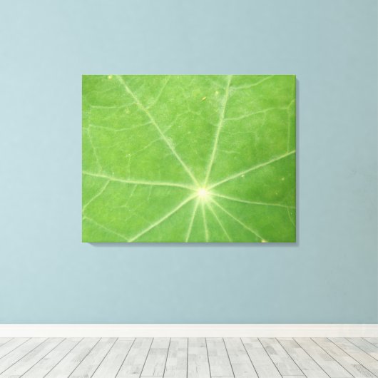 Nasturtium Leaf Canvas Print Leinwanddruck (Insitu (Holzboden))