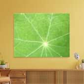 Nasturtium Leaf Canvas Print Leinwanddruck (Insitu (Wohnzimmer))