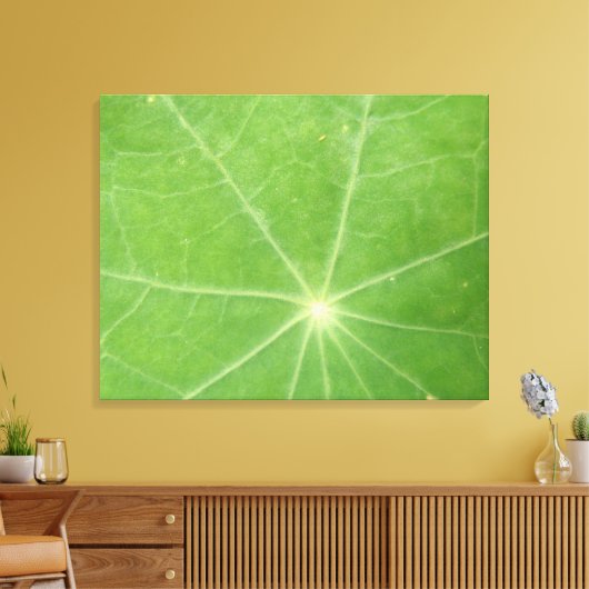 Nasturtium Leaf Canvas Print Leinwanddruck (Insitu (Wohnzimmer))