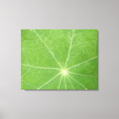 Nasturtium Leaf Canvas Print Leinwanddruck (Vorderseite)