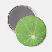 Nasturtium Leaf Magnet (Vorderseite/Rückseite)