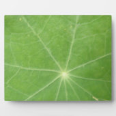 Nasturtium Leaf Plaque Fotoplatte (Vorderseite)
