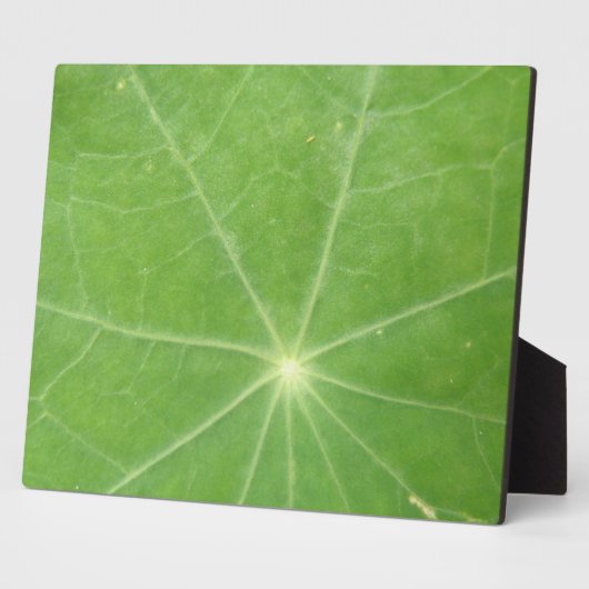 Nasturtium Leaf Plaque Fotoplatte (Seite)