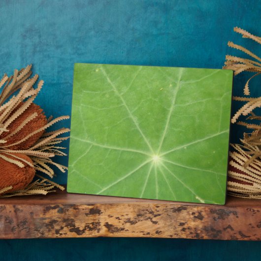 Nasturtium Leaf Plaque Fotoplatte (Seite)