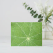 Nasturtium Leaf Postkarte (Stehend Vorderseite)