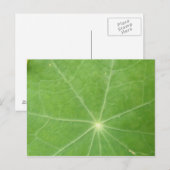 Nasturtium Leaf Postkarte (Vorne/Hinten)