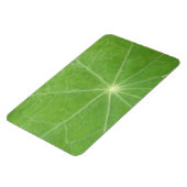 Nasturtium Leaf Premium Magnet (Linke Seite)