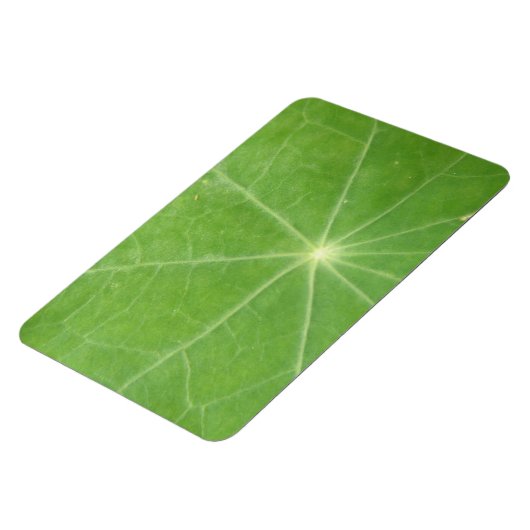 Nasturtium Leaf Premium Magnet (Linke Seite)