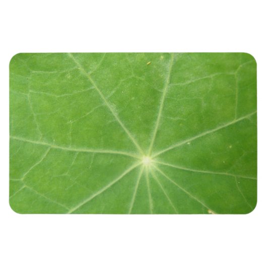 Nasturtium Leaf Premium Magnet (Horizontal)