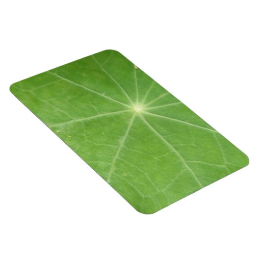 Nasturtium Leaf Premium Magnet (Rechte Seite)