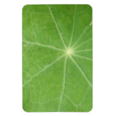 Nasturtium Leaf Premium Magnet (Vertikal)