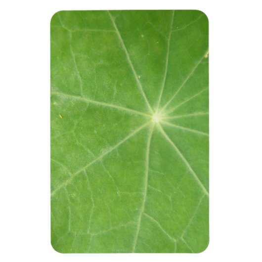 Nasturtium Leaf Premium Magnet (Vertikal)