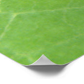 Nasturtium Leaf Print Poster (Ecke)