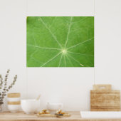 Nasturtium Leaf Print Poster (Küche)