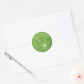 Nasturtium Leaf Stickers (Umschlag)