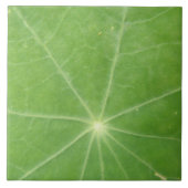 Nasturtium Leaf Tile Fliese (Vorderseite)