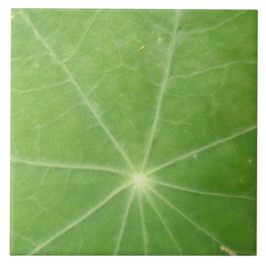 Nasturtium Leaf Tile Fliese (Vorderseite)