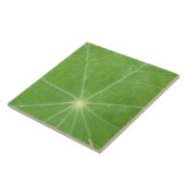 Nasturtium Leaf Tile Fliese (Seite)
