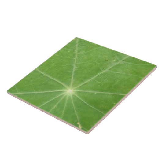Nasturtium Leaf Tile Fliese (Seite)