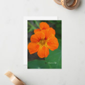 Nasturtium Mitteilungskarte (Vorderseite/Rückseite Beispiel)